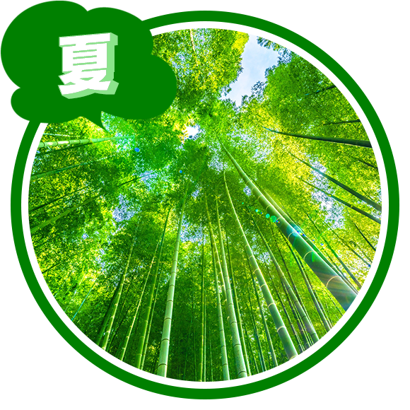 夏